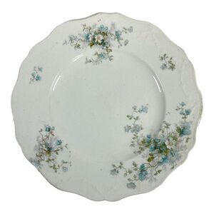 Antique John Haddock & Sons Royal Vitreous Salad 9” Plate Blue Floral Victorian